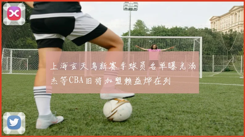 上海玄天鸟新赛季球员名单曝光汤杰等CBA旧将加盟赖益烨在列