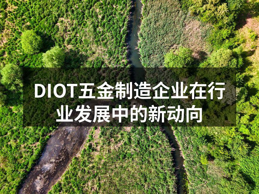 DIOT公司生产线一角